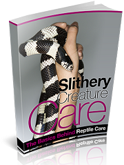 Slithery Creature Care Free Ebook