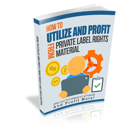 Profit From Private Label Rights Ebook