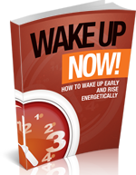 Wake Up Now Ebook