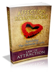 Affection Roadblocks eBook