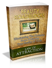 Reality Roadblocks eBook