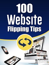 100 Website Flipping Tips Report