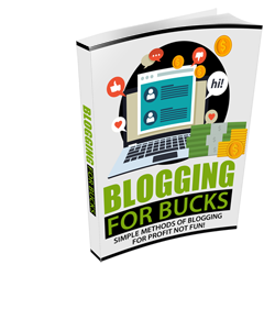blogging for bucks ebook